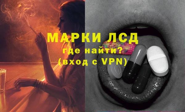 гашик Алексеевка