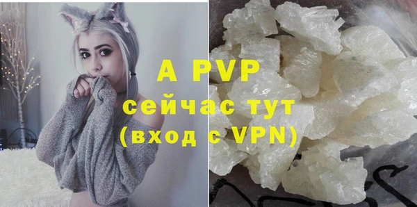 гашик Алексеевка