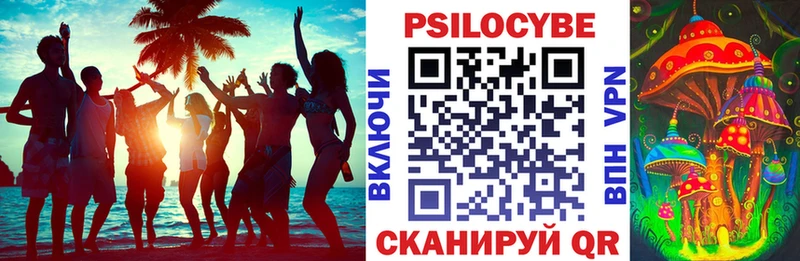 купить наркотик  дарк нет наркотические препараты  Галлюциногенные грибы мухоморы  Долгопрудный  omg сайт 